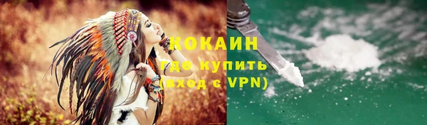 2c-b Ельня