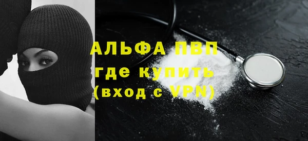 2c-b Ельня