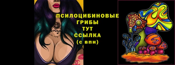 а пвп мука Елабуга