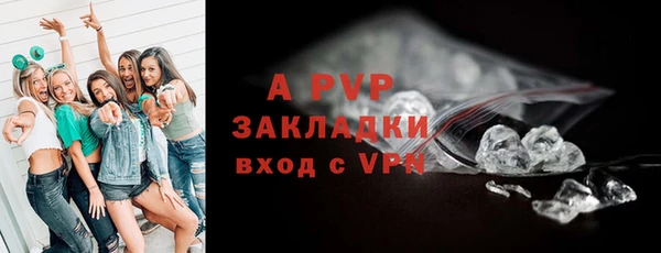 2c-b Ельня