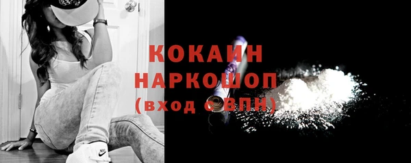 2c-b Ельня