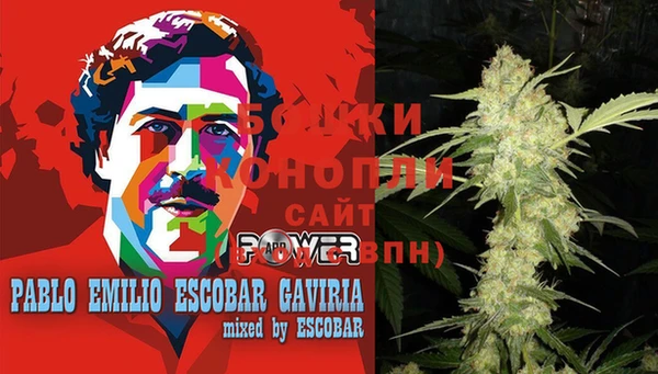 2c-b Ельня