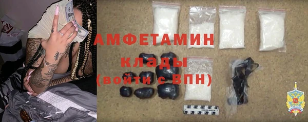 твердый Арсеньев