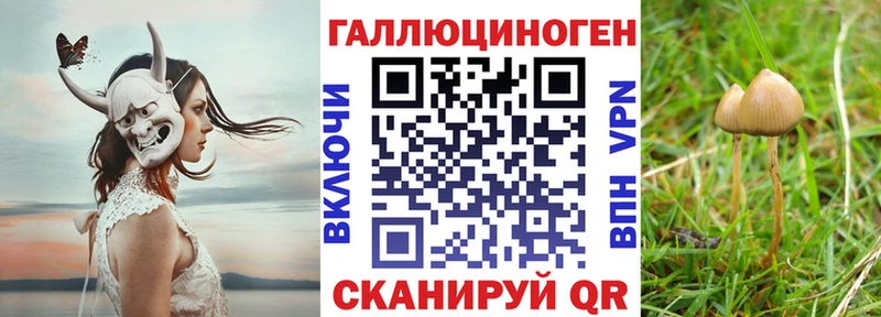 наркотики  Чаплыгин  Псилоцибиновые грибы мицелий 
