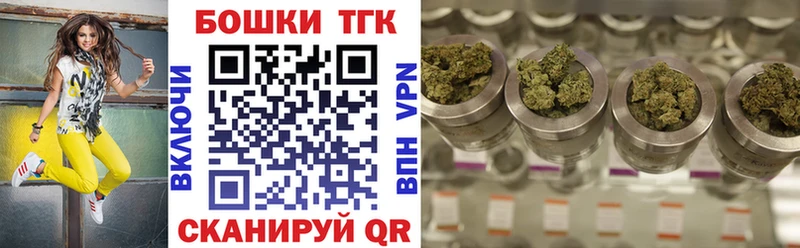купить наркотики сайты  Чаплыгин  Бошки Шишки индика 